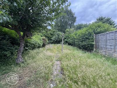Picture 25